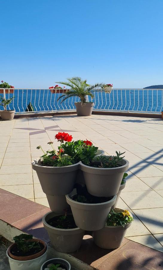 Apartmani Matea Zaton  Exterior photo